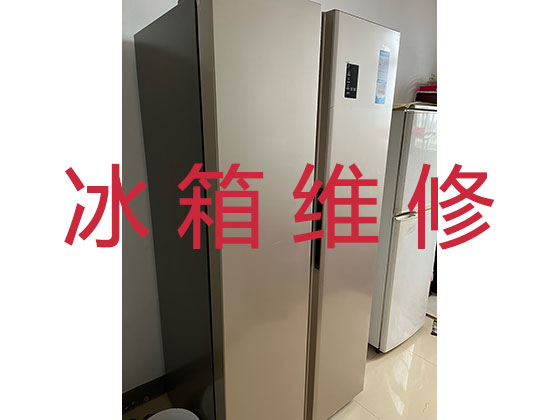 北京冰箱维修服务